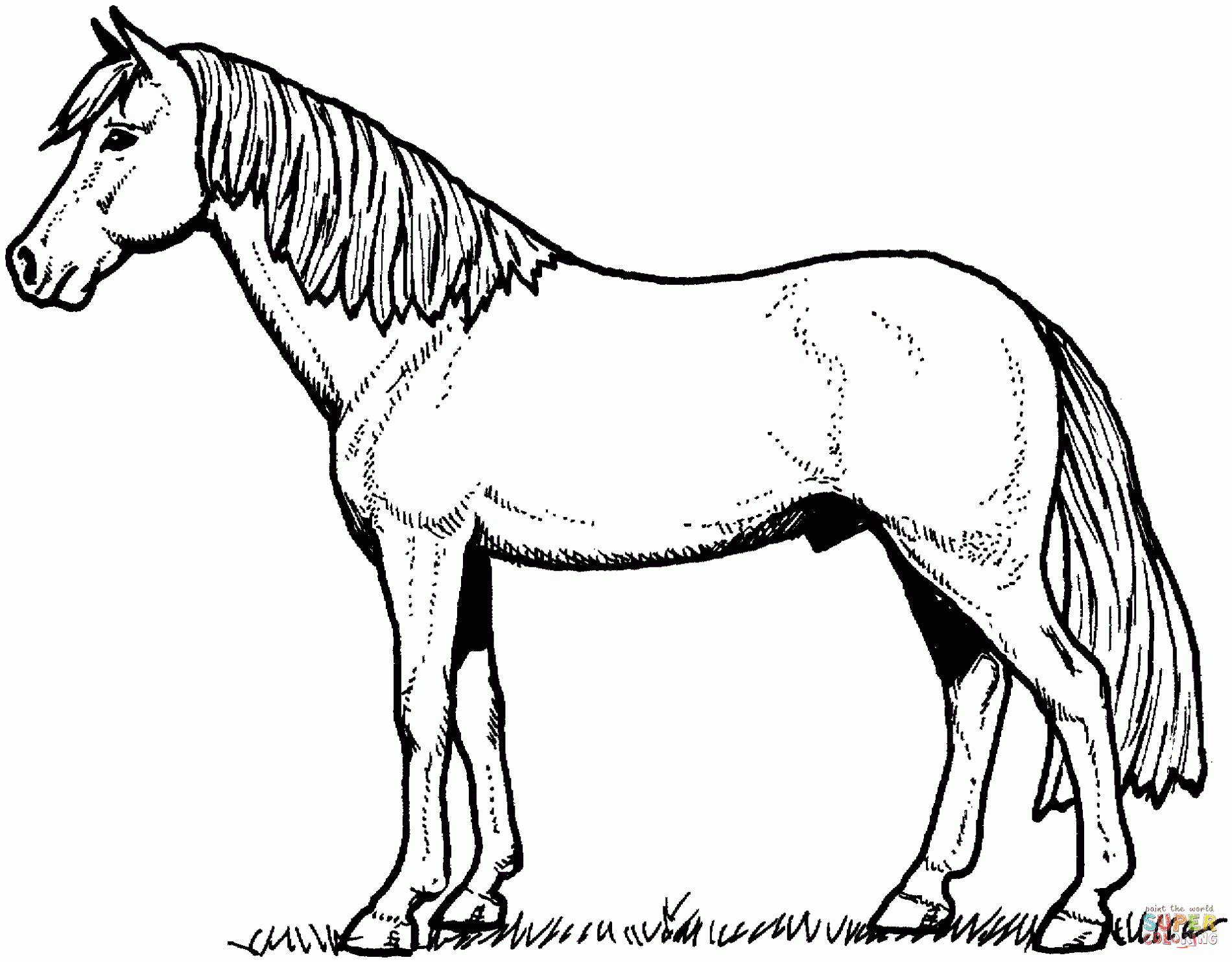 Printable Color Pages Of Horses Activity Shelter