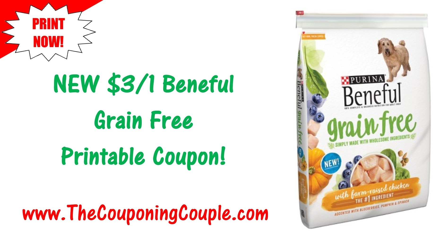 Printable Dog Food Coupons