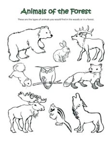 Printable Forest Animals