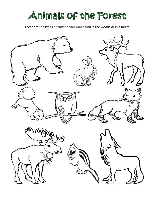 Printable Forest Animals