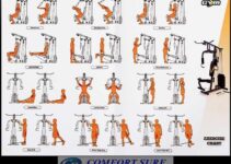 Printable Free Multi Gym Exercises Chart