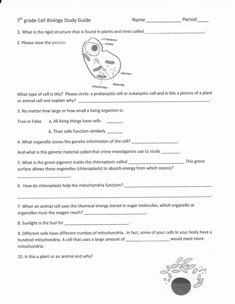5Th Grade Science Worksheets Printable Free