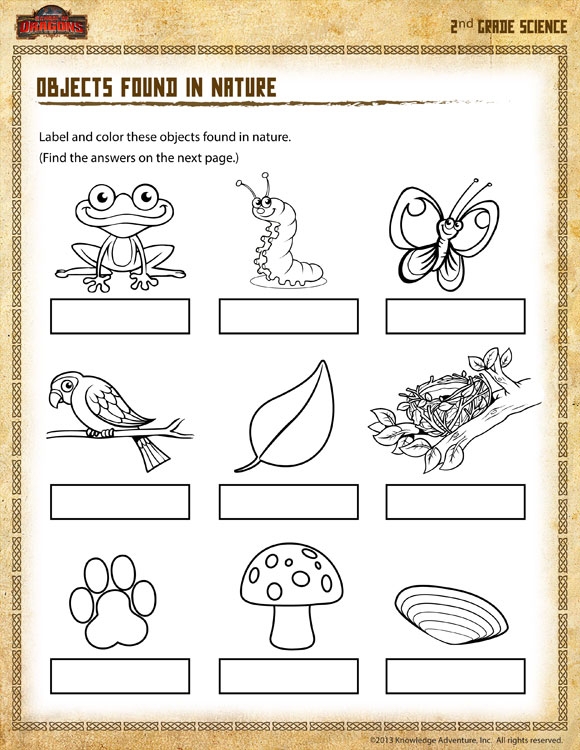 Second Grade Science Worksheets Free Printable Scienceworksheets