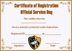Service Dog Certification Free Printable