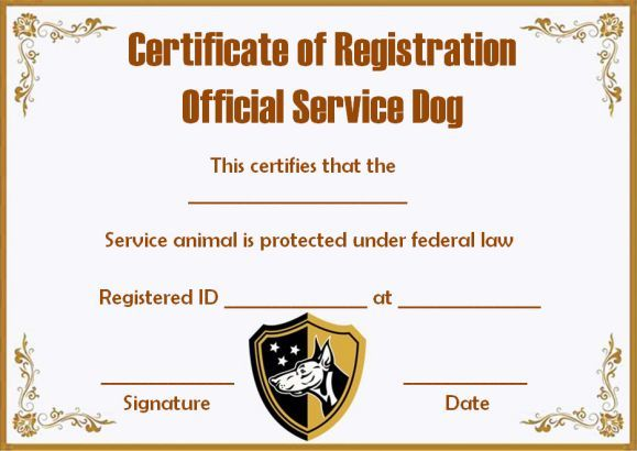 Service Dog Certification Free Printable
