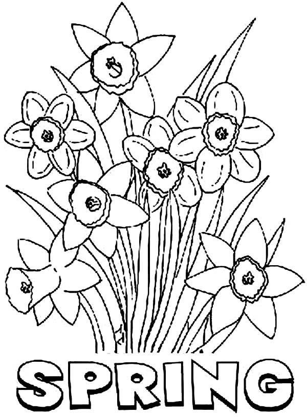 Spring Flower Coloring Pages To Download And Print For Free