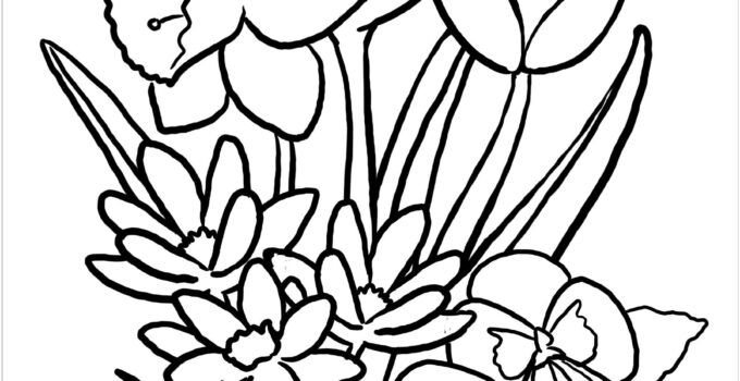 Free Printable Coloring Pages Spring Flowers