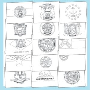 State Flag Coloring Pages By Fantastic FUNsheets TPT