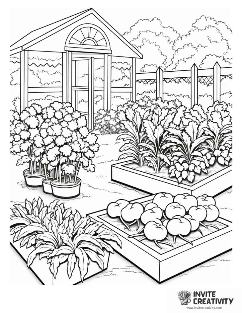 Free Printable Vegetable Garden Coloring Pages