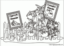 Free Printable Vegetable Garden Coloring Pages