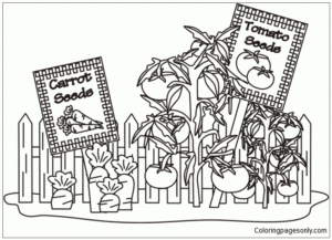 Vegetable Garden Coloring Page Free Printable Coloring Pages