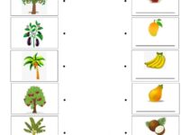 Free Printable Science Worksheets For Kindergarten