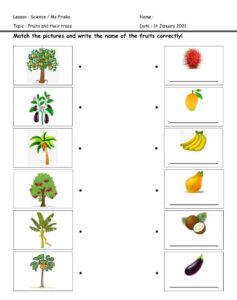 Worksheet For Kindergarten Science Free Printable Kindergarten Worksheets