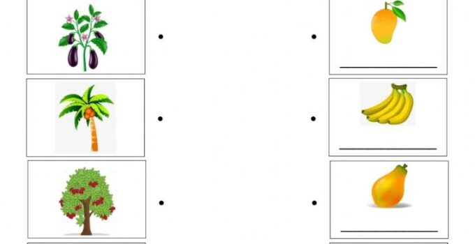 Free Printable Science Worksheets For Kindergarten