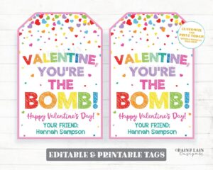 You Are The Bomb Valentine You 39 re The Bomb Tag Bath Bomb Valentine